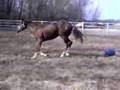 Cecil Plays Ball