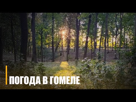 Надвор'е ў Гомелі. Дождж, мокры снег і парывісты вецер прагназуюцца 11 кастрычніка на Гомельшчыне видео