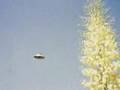 Flying Saucers (video clip)