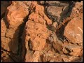 Crocodiles de Matmata