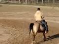 western Little Washo