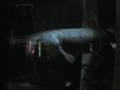 Monster Files #5 Giant Alligator Gar
