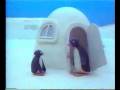 Pingu e i suoi amici