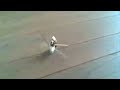 My RC BristleBot