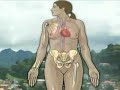 Medical Tourism:New Bodies-Medical Tourism Travel Video Ale