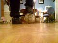 Toppin Showin Iz Stuff lol