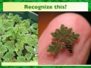 Nitrogen as a Resource Nitrogen as a Resource