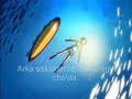Byousoku 5cm - anime -