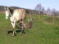 videos de Na jesiennym wybiegu:)