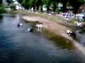 Horse runs away with rider