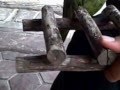 videos de Playa parrot