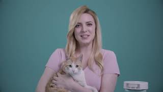 video thumbnail Purrair Plug youtube
