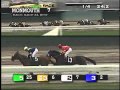 My Wife Knows Everything.flv