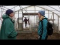 Amherst down on the farm: Bob Saul '80 teaches course on sustainable farming, forestry: http://t.co/Iu2Ck5l7