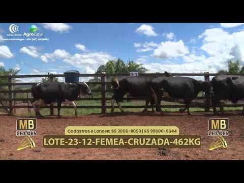 543� LEIL�O VIRTUAL MB LEIL�ES