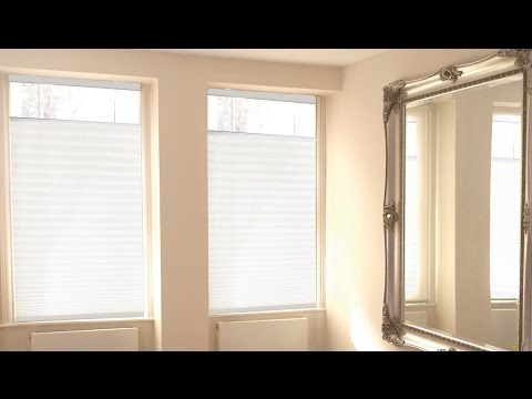 Cordless Top Down Bottom Up Pleated Shades