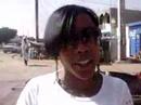 voyage au s�n�gal avec diff�rents artistes pour replanter des arbes
