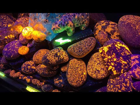 美国商人发现荧光岩石闪耀如同太阳石(视频)
