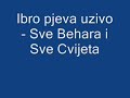 Ibro pjeva uzivo - Sve behara i Sve Cvijeta