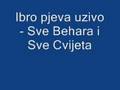Ibro pjeva uzivo - Sve behara i Sve Cvijeta