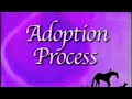 Animal Welfare League