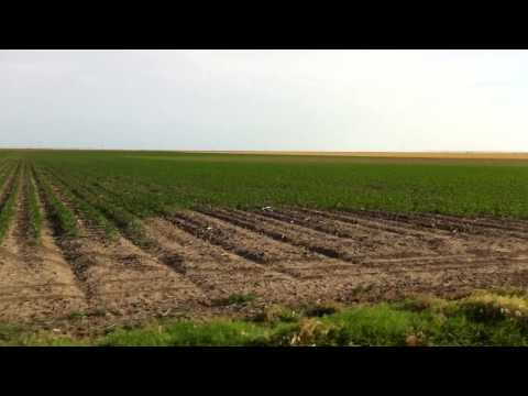 320 acres Sublette, KS