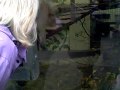 VID00182.AVI