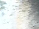 ergy ergy