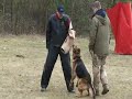 Lord Vilkiukstis IPO-1 (c) training