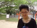 flying fox flying fox