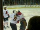 Arizona Sundogs