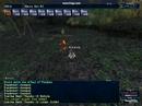 FFXI RDM Nukga FFXI RDM Nukga