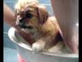 washing