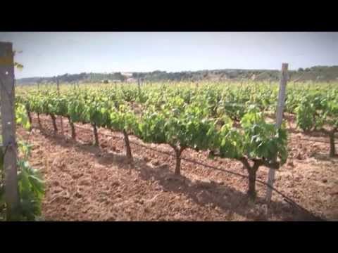 how to define agriculture