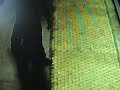 gtaiv-immediate-freezing-pt2.html