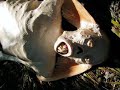 mermaid-found.html