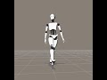 Walking Robot