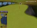Golden Tee Great Shot on Sunny Wood!