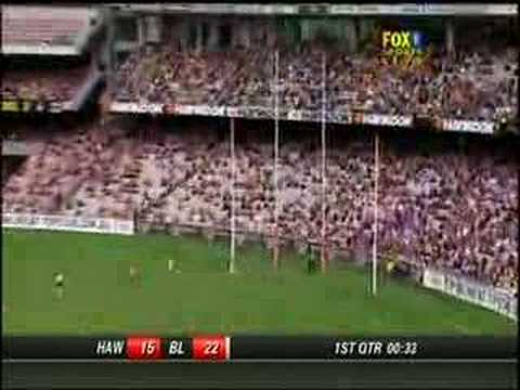 Hawthorn Hawks Brilliance