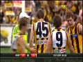 Hawthorn Hawks Brilliance