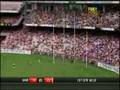 Hawthorn Hawks Brilliance