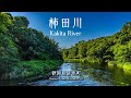 【日本三大清流】 柿田川 | Kakita River - 静岡県清水町 | Shimizu Town, Shizuoka Prefecture, Japan 【4K】