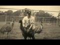 Mr. Stevens vs The Emus