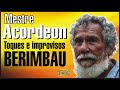 Ver Video