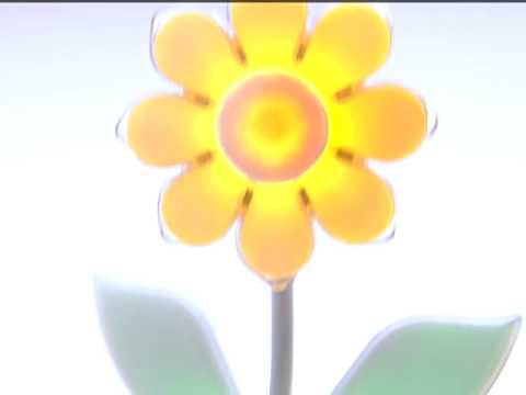 0 0