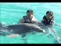 Dolphin Encounters in the Bahamas