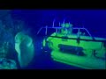 The wonderful world of the sea sponges- The Abyss- BBc Wildlife