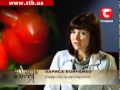 Правила жизни. Битва диет ч. 1