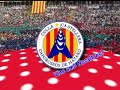 Concurs 2008 - Tots amb els Capgrossos