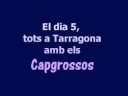 Concurs 2008 - Tots amb els Capgrossos
